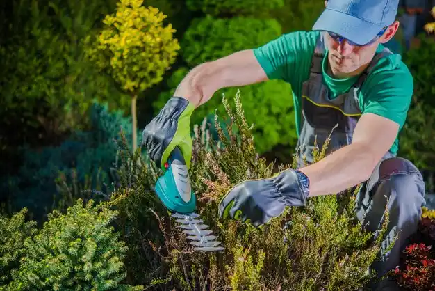 landscaping services Martins Ferry